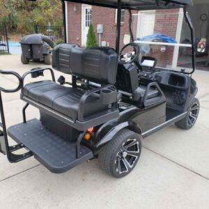  2021 Evolution golf cart