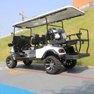 sightseeing Car Golf Cart Luxury