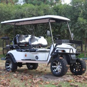 New customized 6 seater electric golf sightseeing car