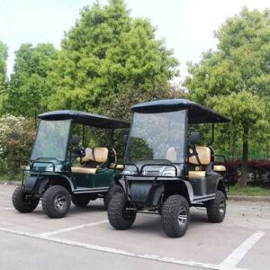 New model 4 seater Golf cart