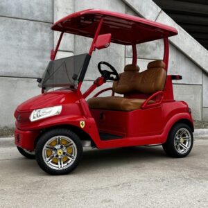 Used Custom Ferrari 2 Passenger